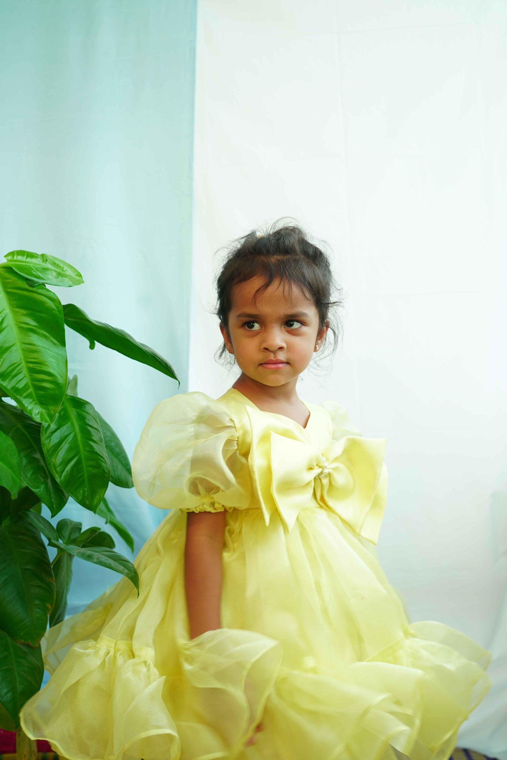 Kids Organza Ruffle Frock
